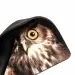 Коврик Dialog PM-H15 Owl